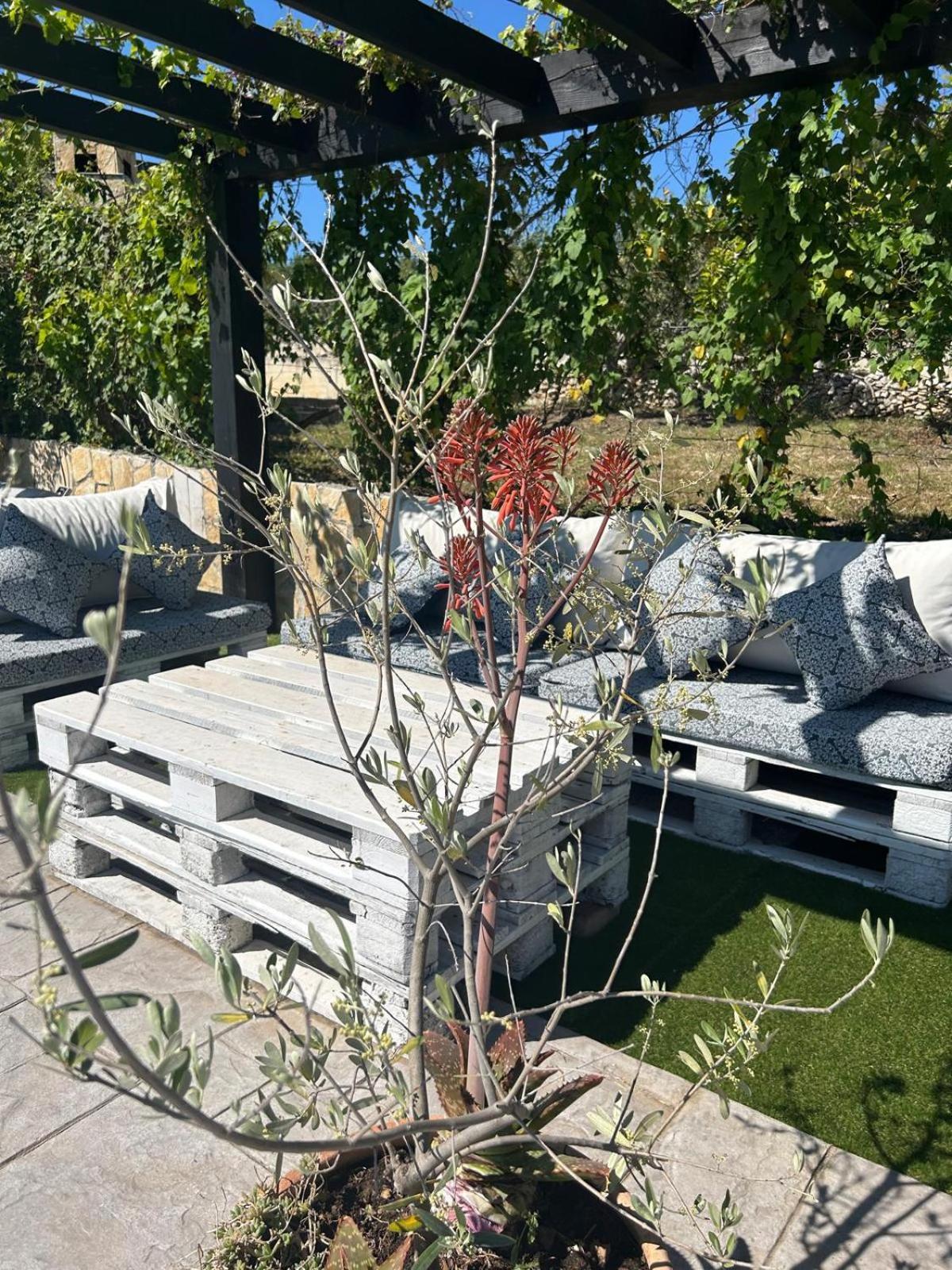 Holiday Home Bepo セヴィド エクステリア 写真